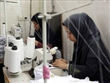 گزارش ایران درباره امکان سنجی ایجاد شغل 1 تا 10 میلیون تومانی
