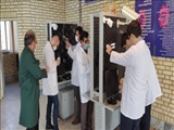 برگزاری دوره آموزش